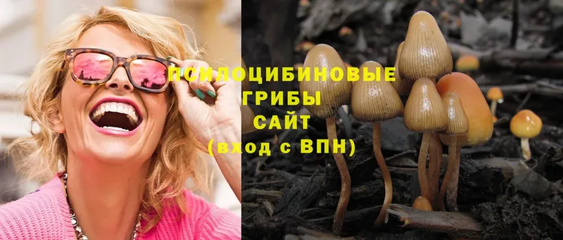 Псилоцибиновые грибы Magic Shrooms  нарко площадка как зайти  Среднеколымск 